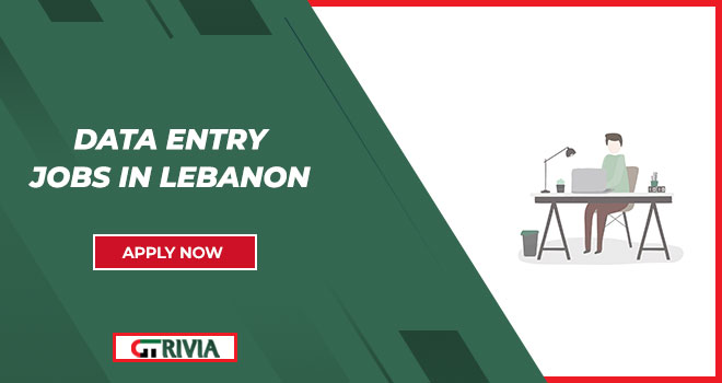 Find Out Data Entry Jobs in Lebanon And Lighten Up Your Future | Apply Now